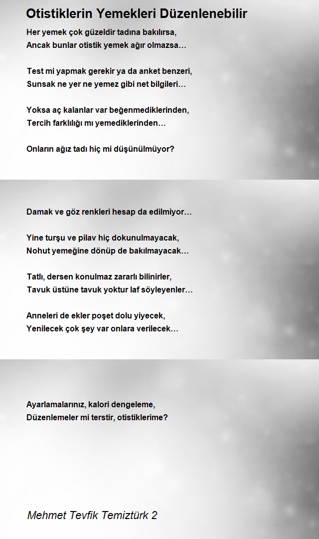 Mehmet Tevfik Temiztürk 2