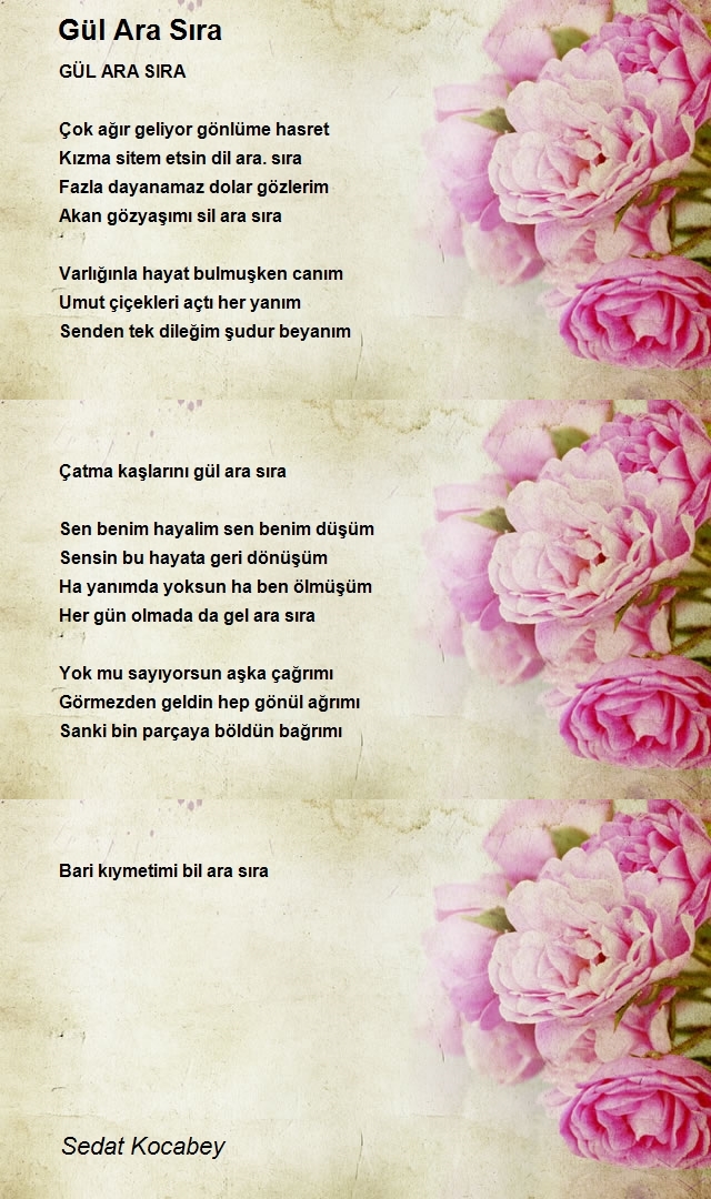 Sedat Kocabey