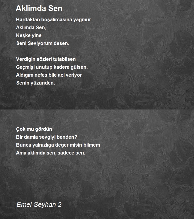 Emel Seyhan 2