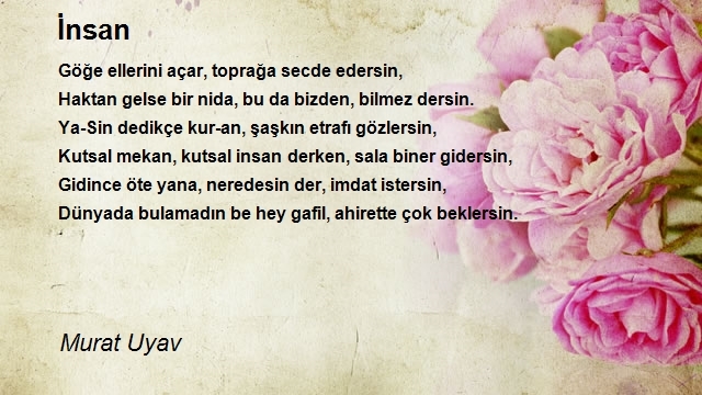 Murat Uyav