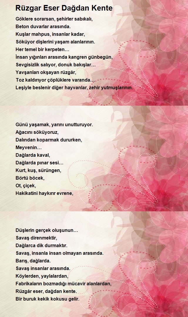 Selim Erdoğan