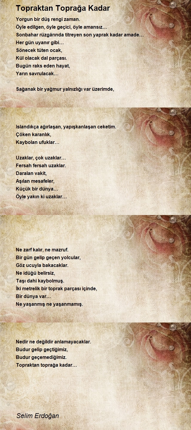 Selim Erdoğan