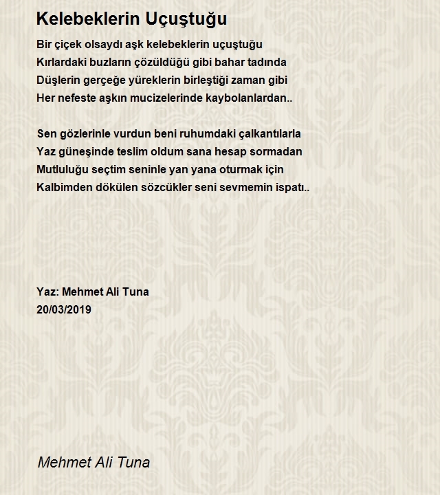 Mehmet Ali Tuna