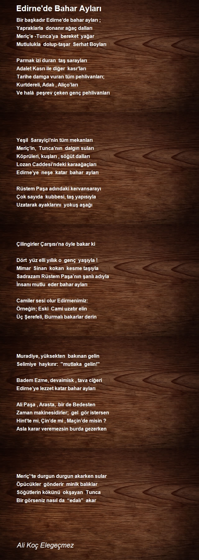 Ali Koç Elegeçmez