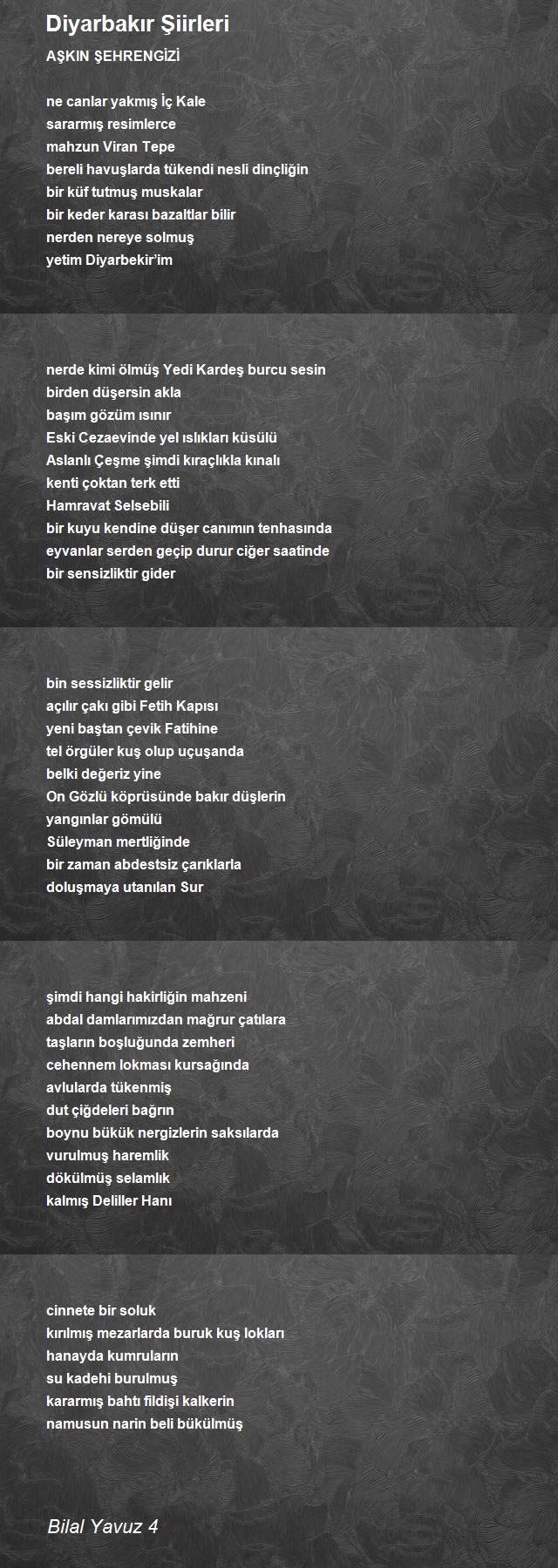 Yazar Bilal Yavuz