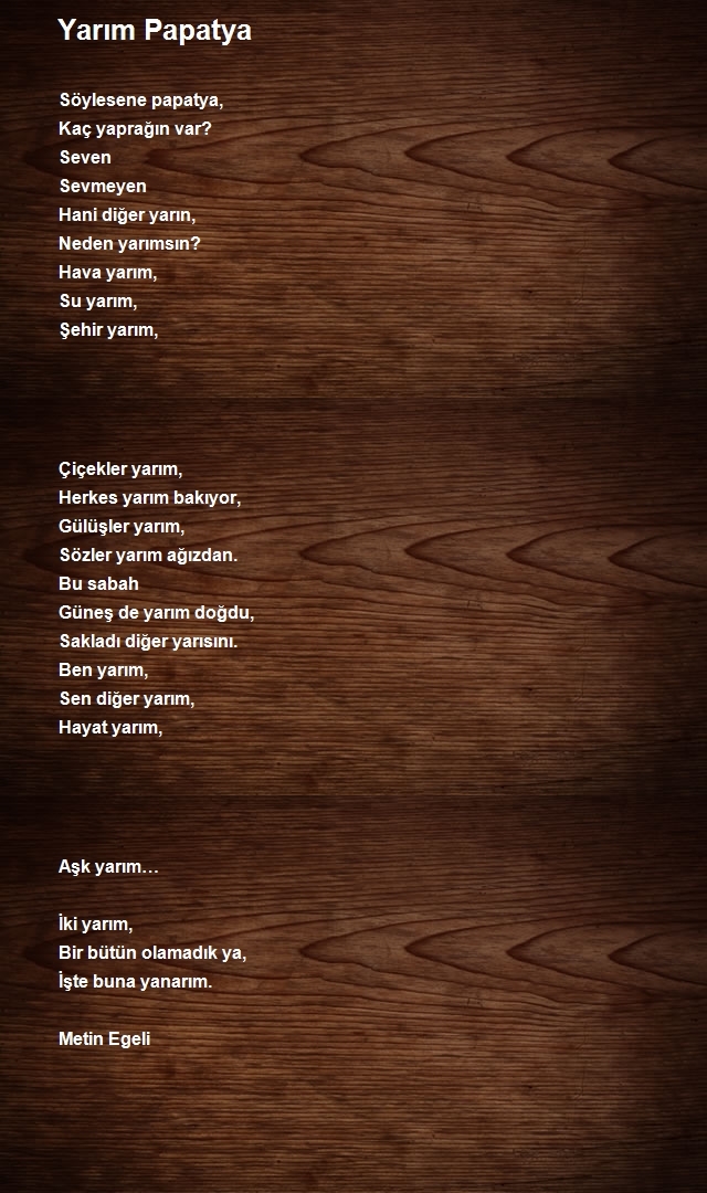 Metin Egeli
