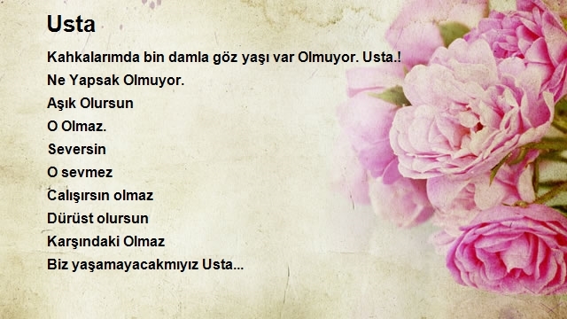 Toygar Şair Aksoy