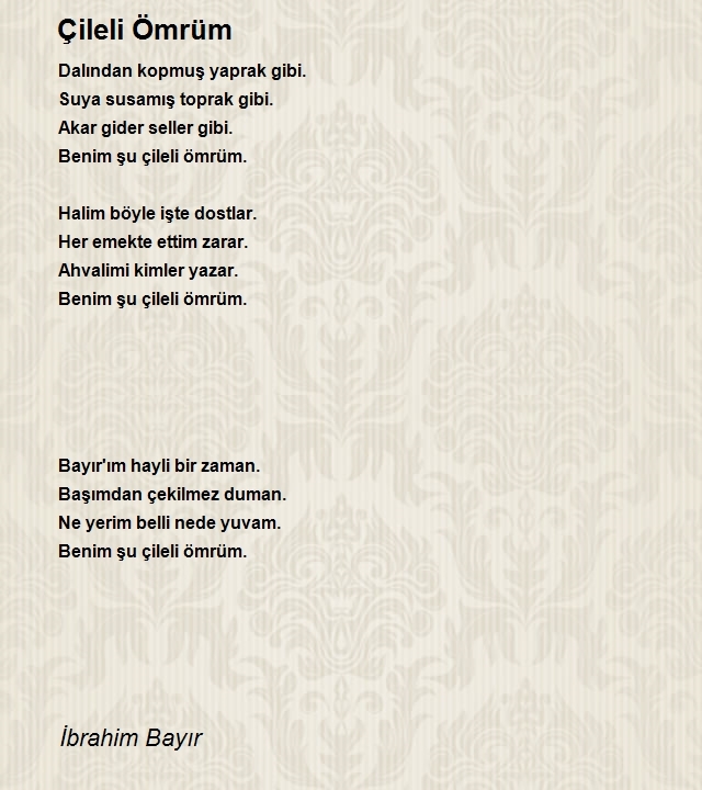 İbrahim Bayır
