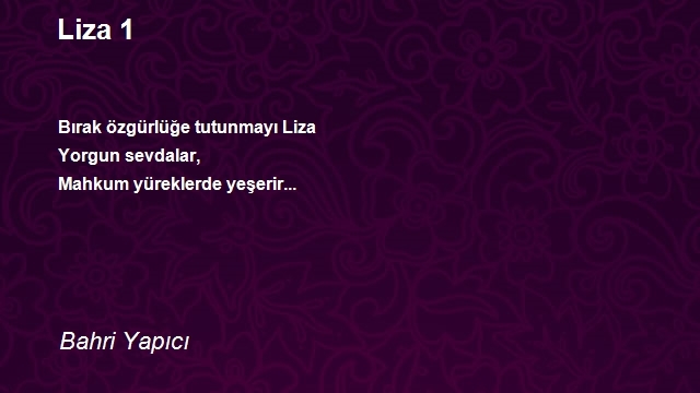 Bahri Yapıcı