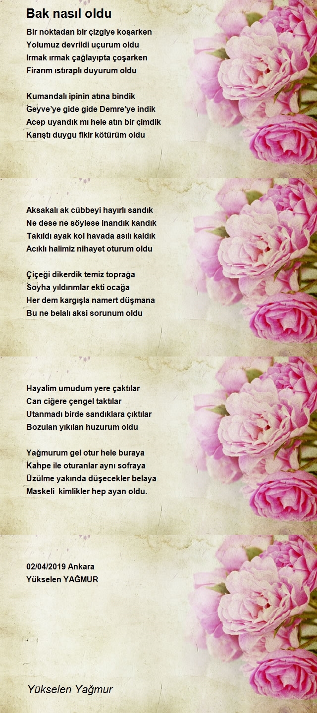 Yükselen Yağmur