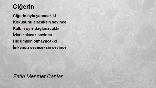 Fatih Mehmet Canlar