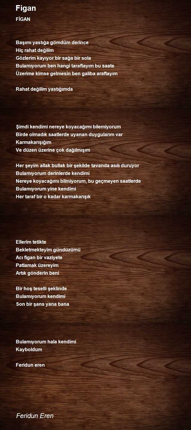 Feridun Eren