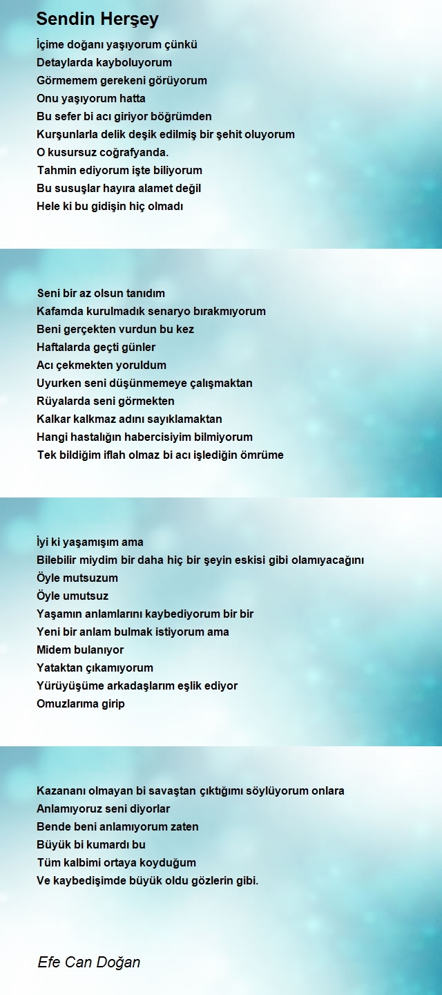 Efe Can Doğan