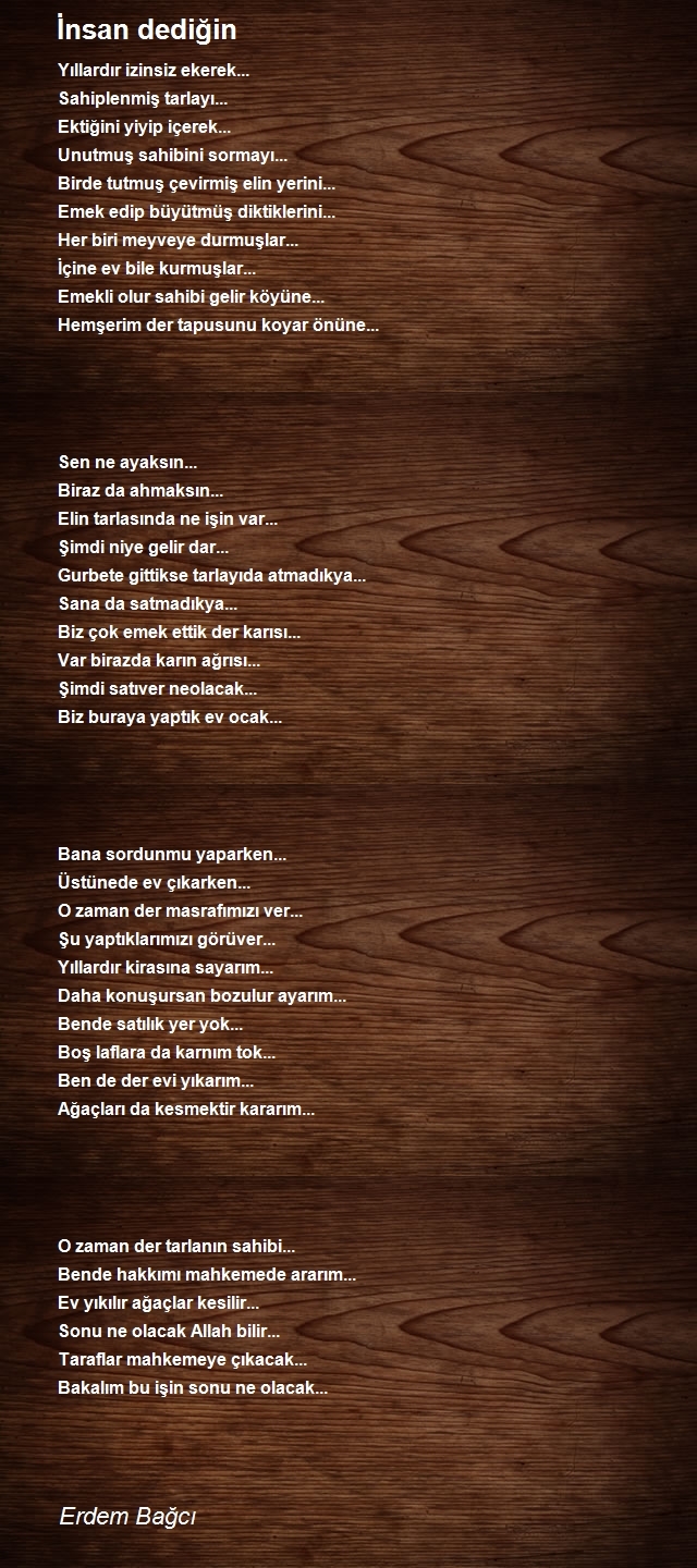 Erdem Bağcı