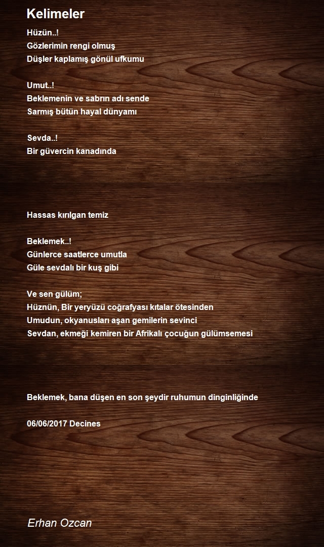 Erhan Ozcan
