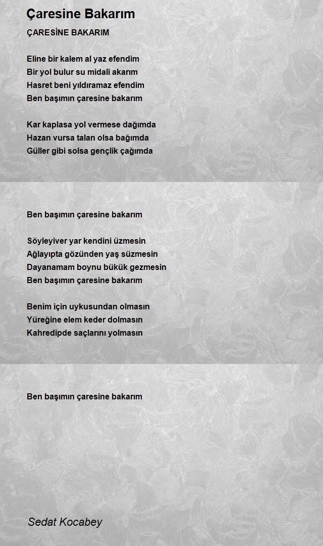 Sedat Kocabey