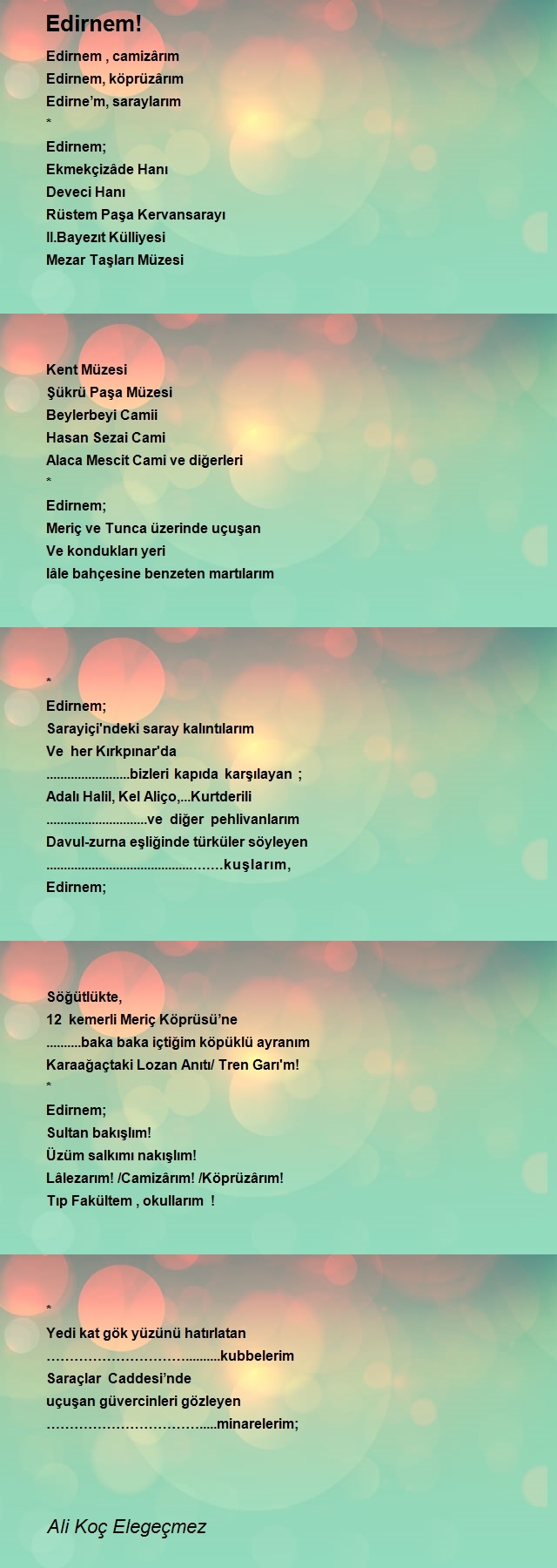 Ali Koç Elegeçmez