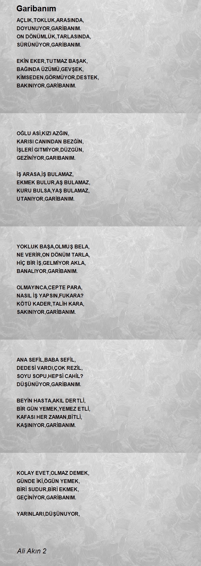 Ali Akın 2