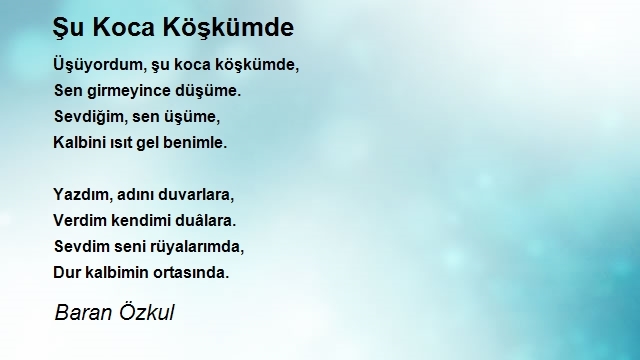 Baran Özkul