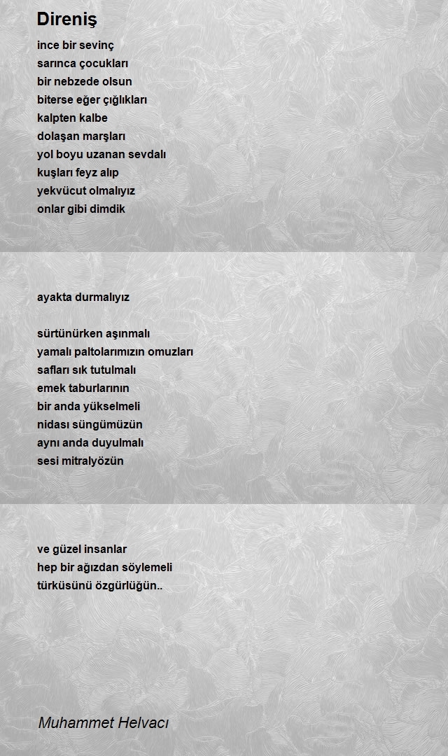 Muhammet Helvacı