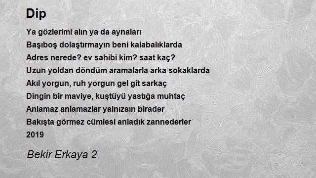 Bekir Erkaya 2