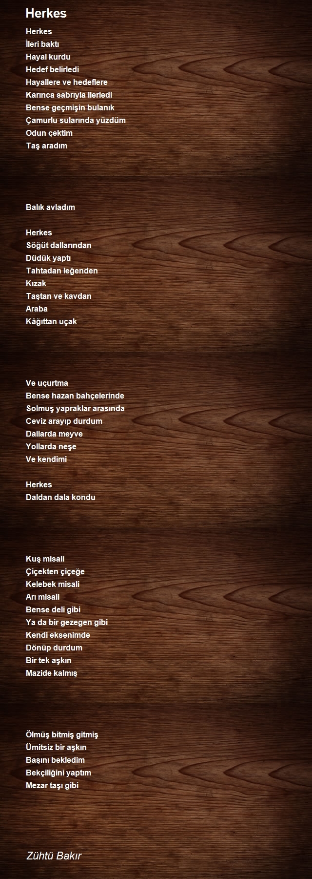 Zühtü Bakır