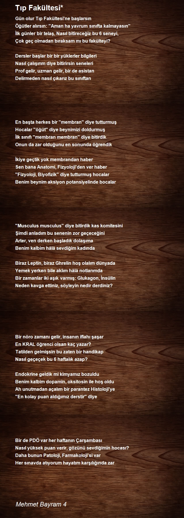 Mehmet Bayram 4
