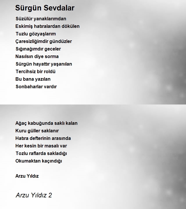 Arzu Yıldız 2
