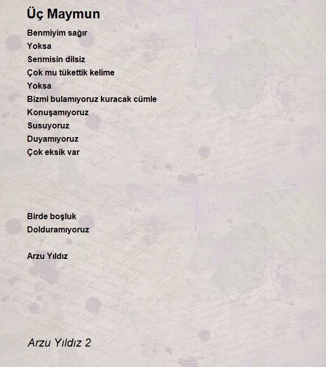 Arzu Yıldız 2