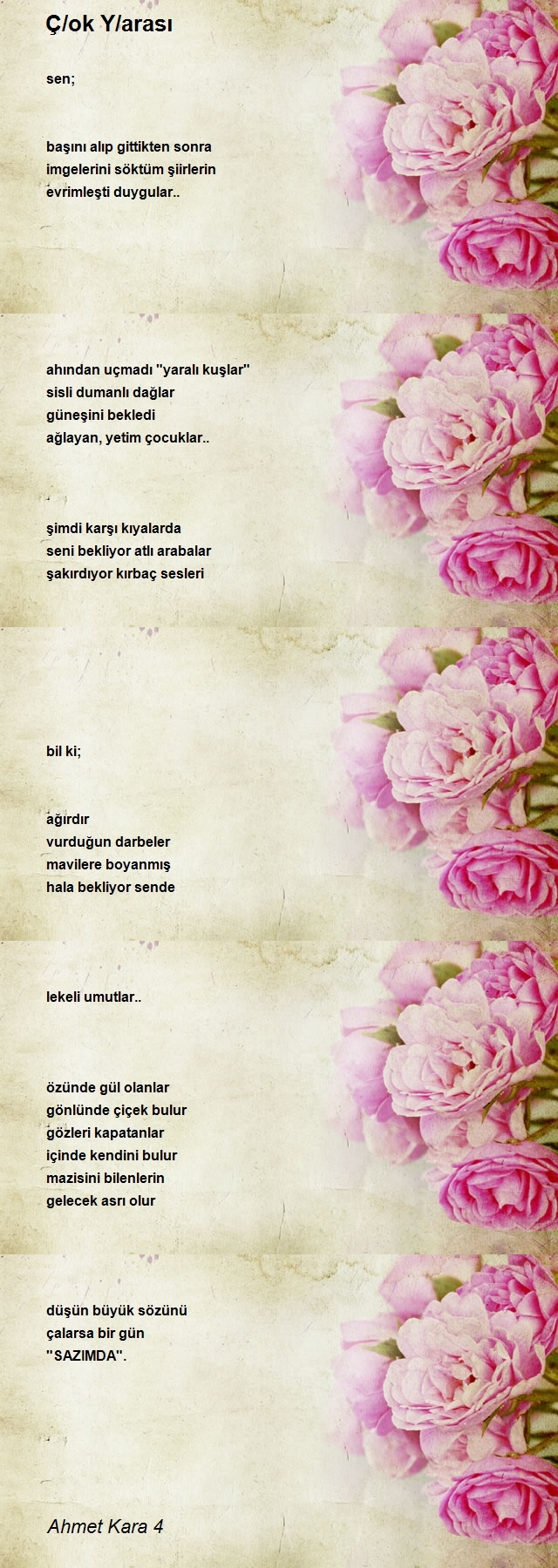 Ahmet Kara 4
