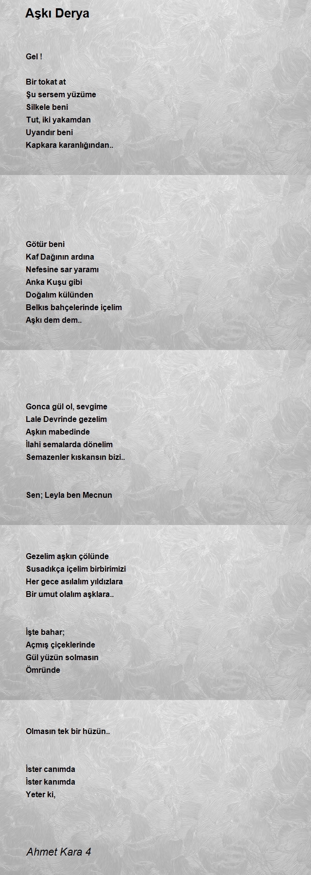 Ahmet Kara 4
