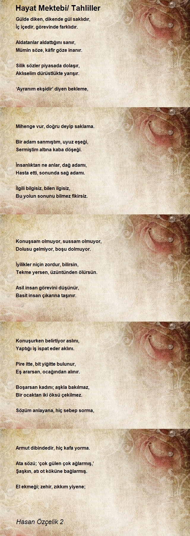 Hasan Özçelik 2