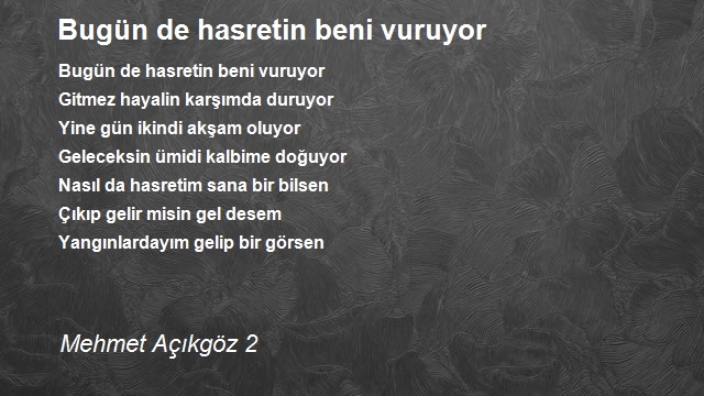 Mehmet Açıkgöz 2