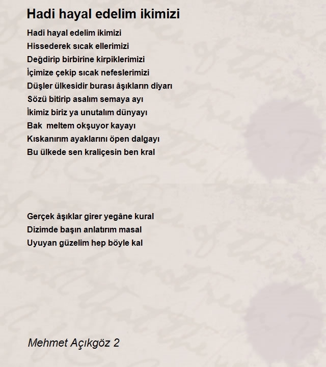 Mehmet Açıkgöz 2