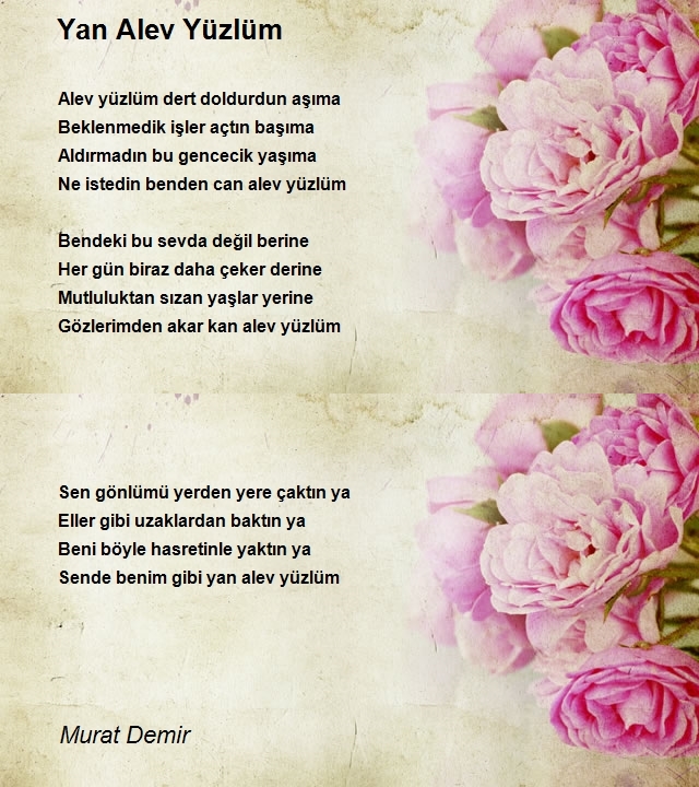 Murat Demir