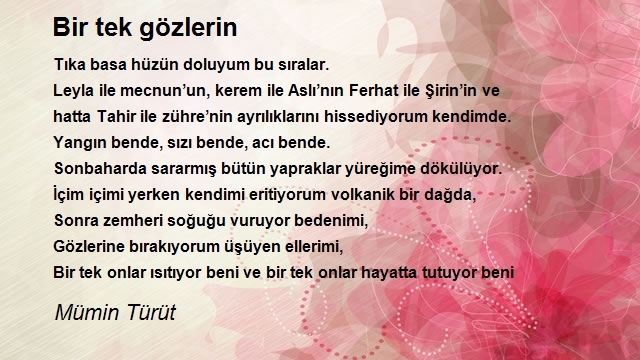 Mümin Türüt