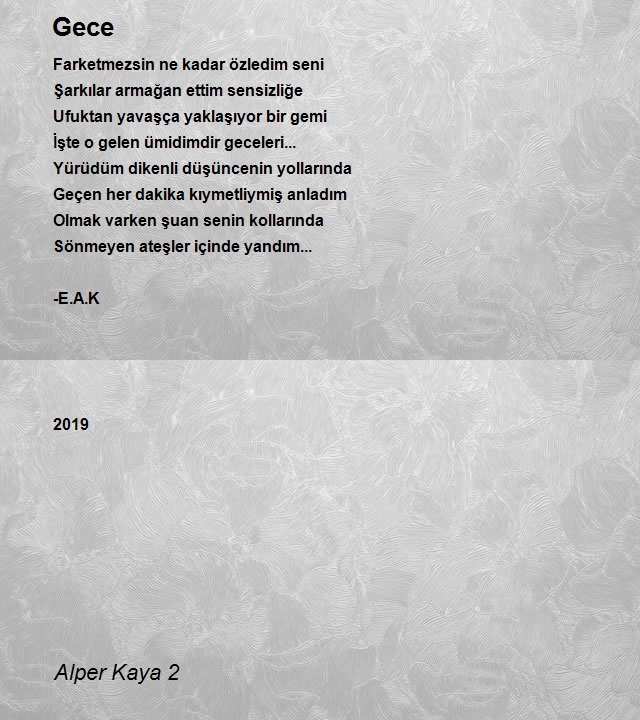 Alper Kaya 2