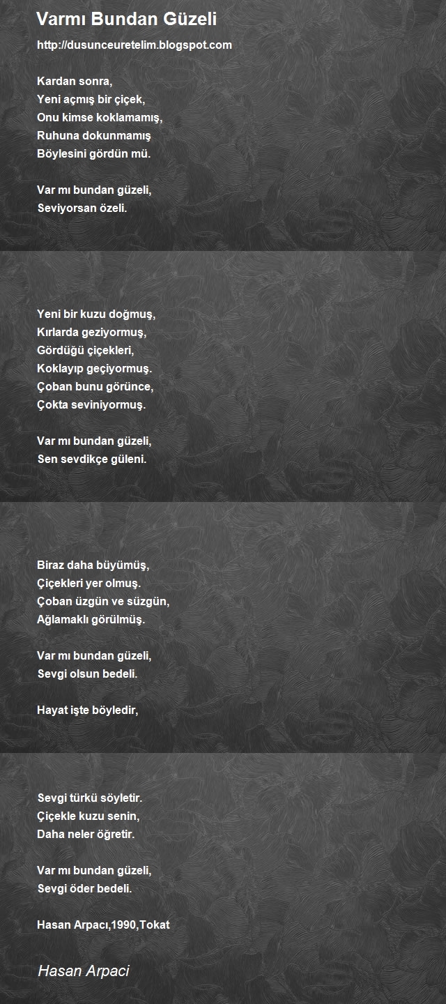 Hasan Arpaci