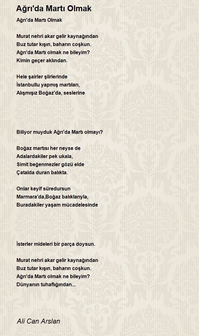 Ali Can Arslan