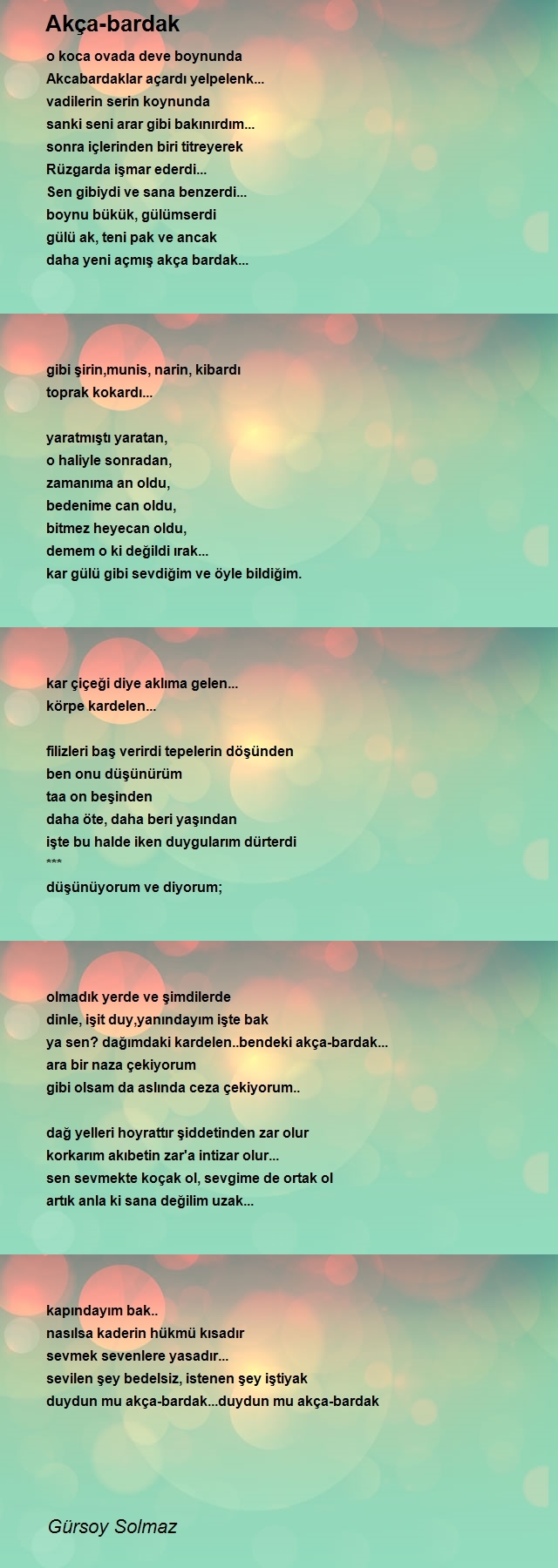 Gürsoy Solmaz