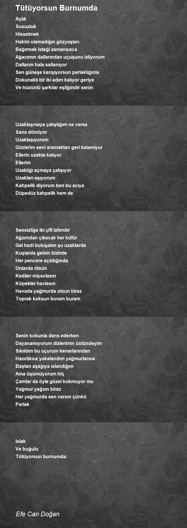 Efe Can Doğan