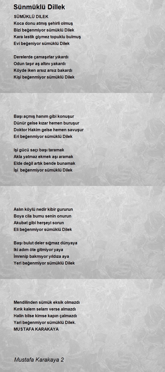 Mustafa Karakaya 2