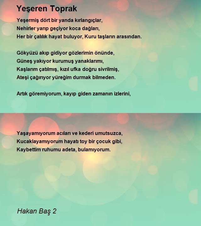 Hakan Baş 2