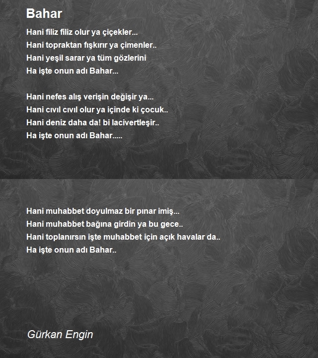 Gürkan Engin