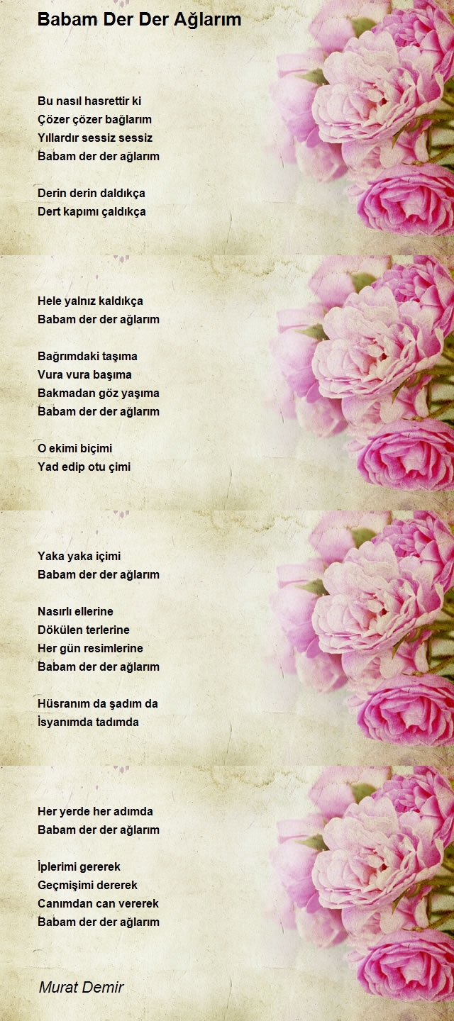 Murat Demir