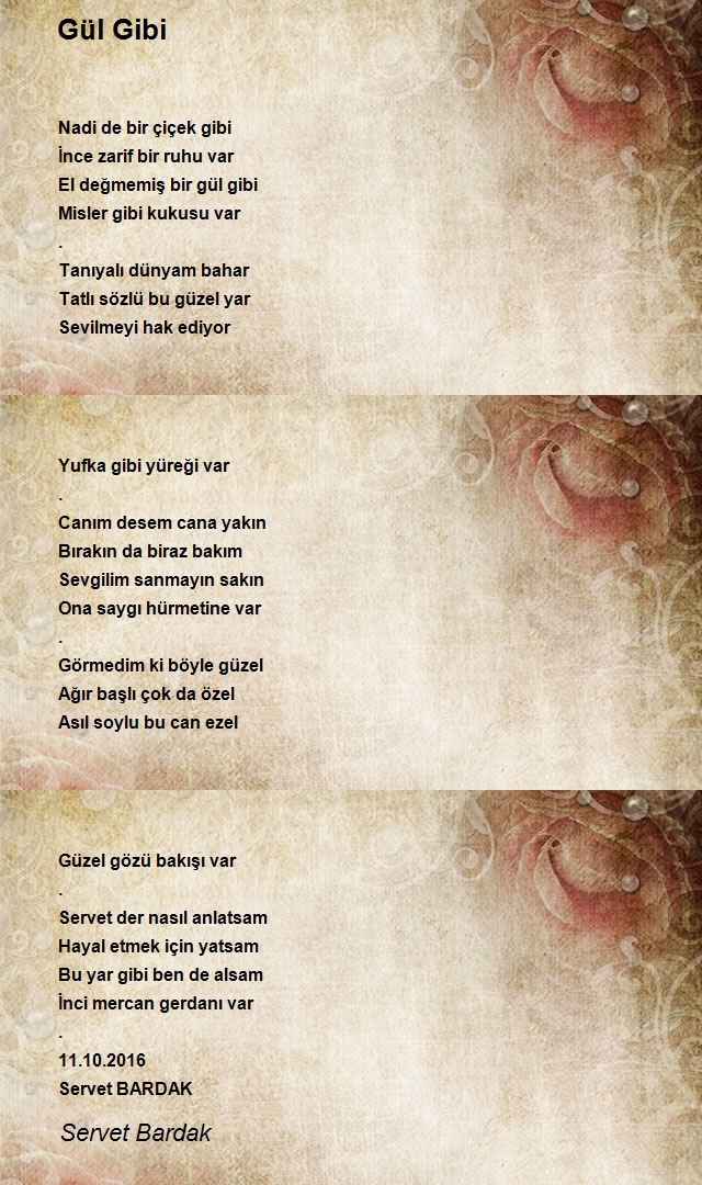 Servet Bardak