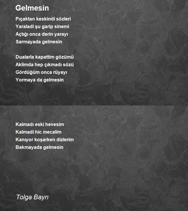 Tolga Bayrı