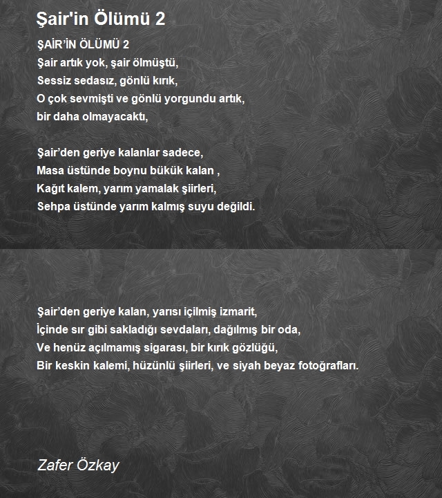 Zafer Özkay