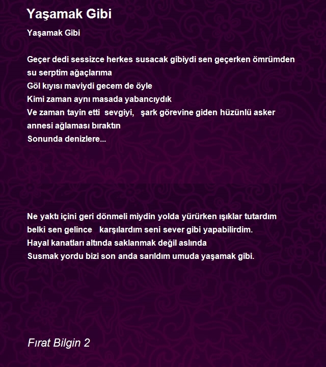 Fırat Bilgin 2