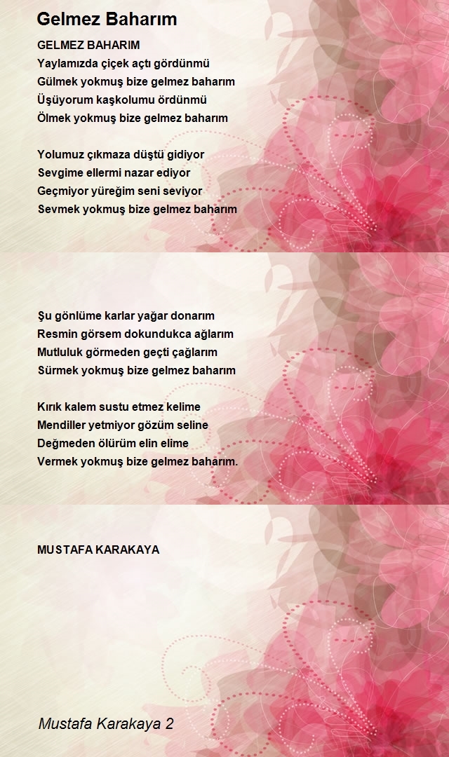 Mustafa Karakaya 2